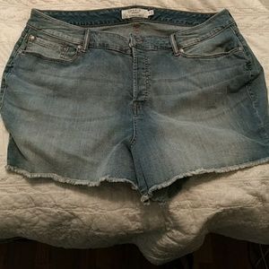 Torrid shorts size 24